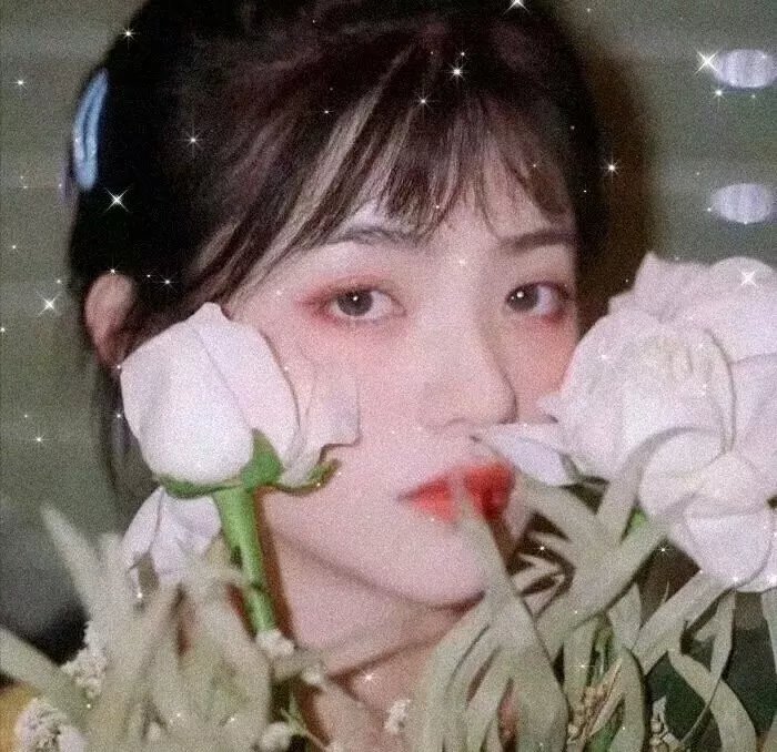 黄昏清兵卫
